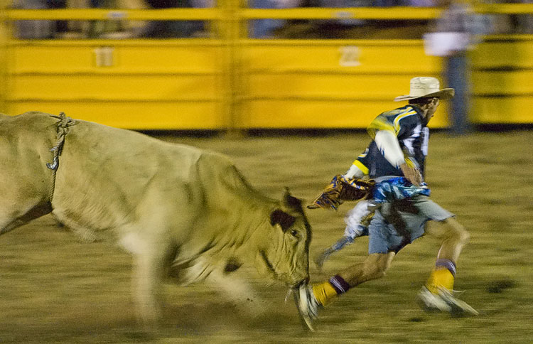 The Chase