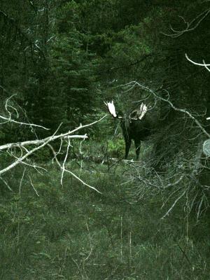 What A Rack!!!