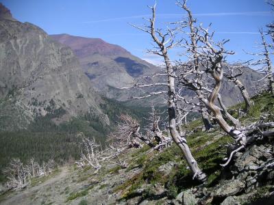 Two Medicine - Scenic Point Hike