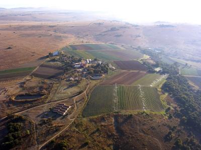 A Farm In Africa