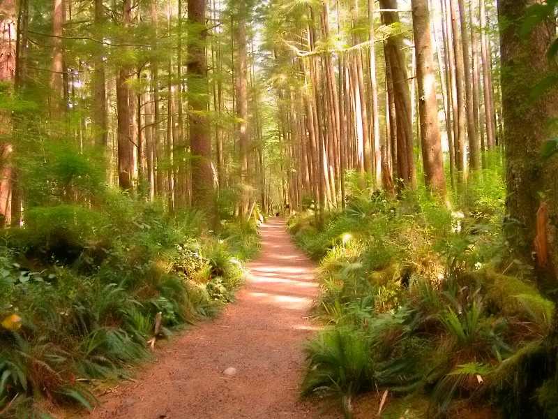 San Jo trail