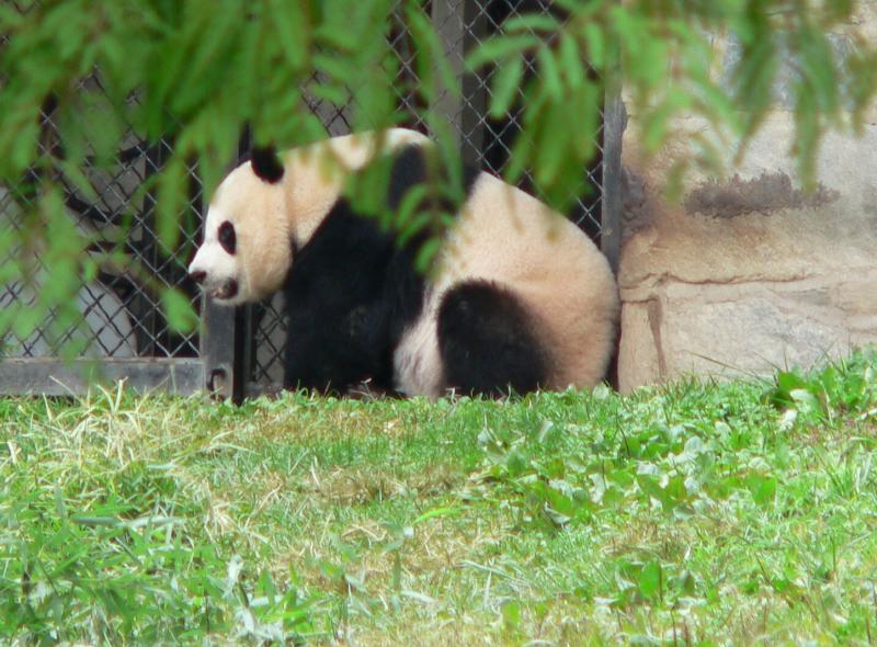 National Zoological Park-2.JPG