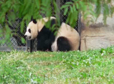 National Zoological Park-2.JPG