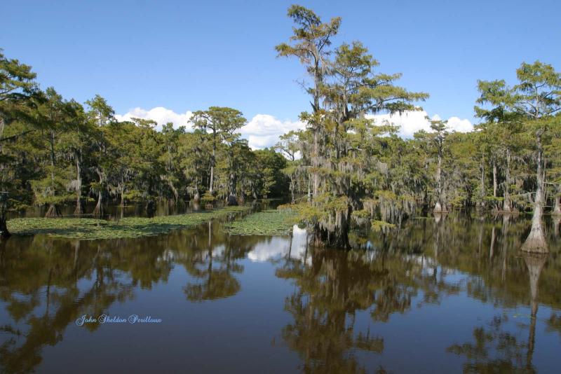 Caddo Lake