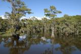 Caddo Lake