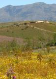 A view as we climb up to the Greek theater at Segesta.