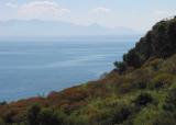 In the nature reserve Lo Zingaro.