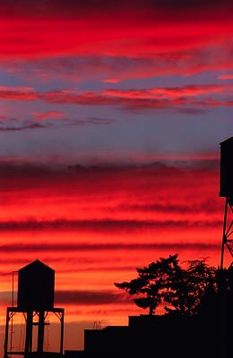 Westside Sunset