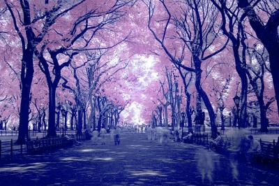 Promenade