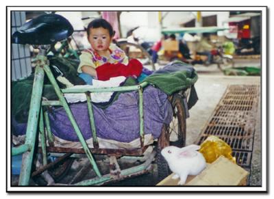 Nanjing-Market.jpg