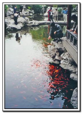 Shanghai-Garden.jpg