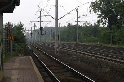 u46/juergenkook/medium/39940747.cmIMG_3613s1280k.jpg