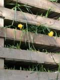 DSCN3577.JPG