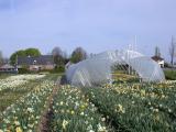 DSCN3588.JPG