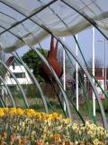 DSCN3595.JPG