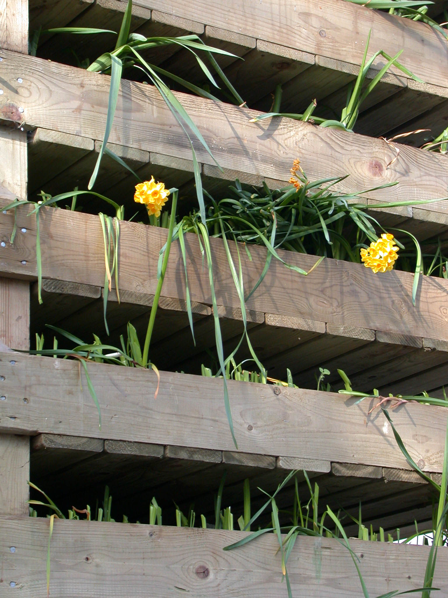 DSCN3577.JPG
