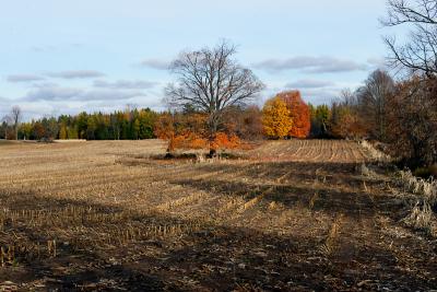 harvest's end