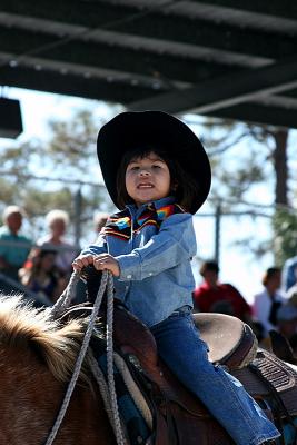 young rider