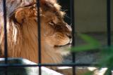 Behind bars ...