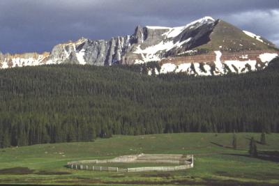 LIZARD HEAD PASS CORRAL