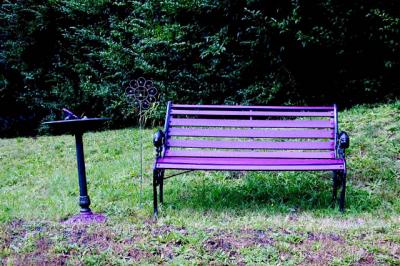 Shades Of Purple