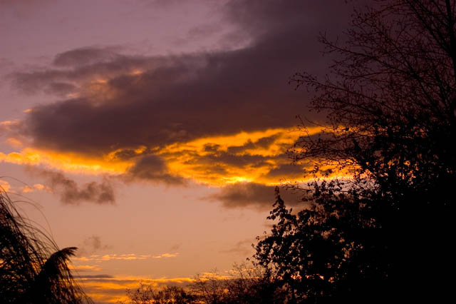 End Of Day