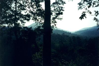 Eagle Rock Loop' Trail - Ouachita National Forest, Arkansas 2001