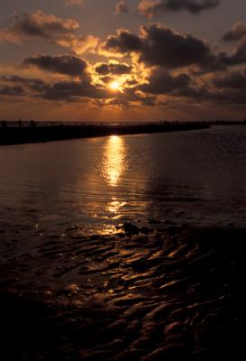 Image1020.jpg
