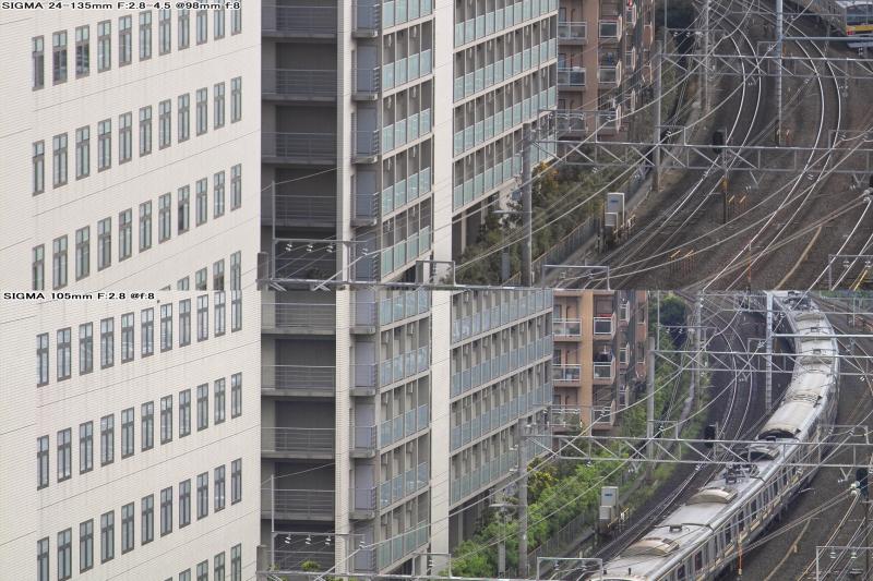 24-135mm vs MACRO 105mm f/8
