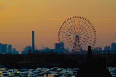 Ferris wheel in evening