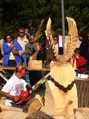 A man...a block of wood...and his chain saw...tats all it takes for the eagle to emerge...amazing...
