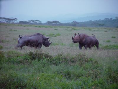 Kenya 0421.jpg