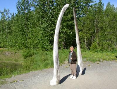 1212 Whale Jawbones.jpg
