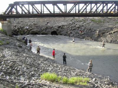1217 Anchorage Has 30 Ft.jpg