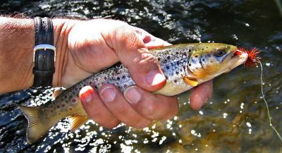 Prairie Creek, Alberta, Canada