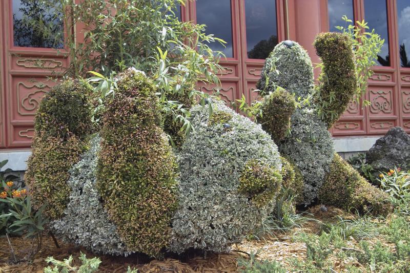 Topiary Pandas