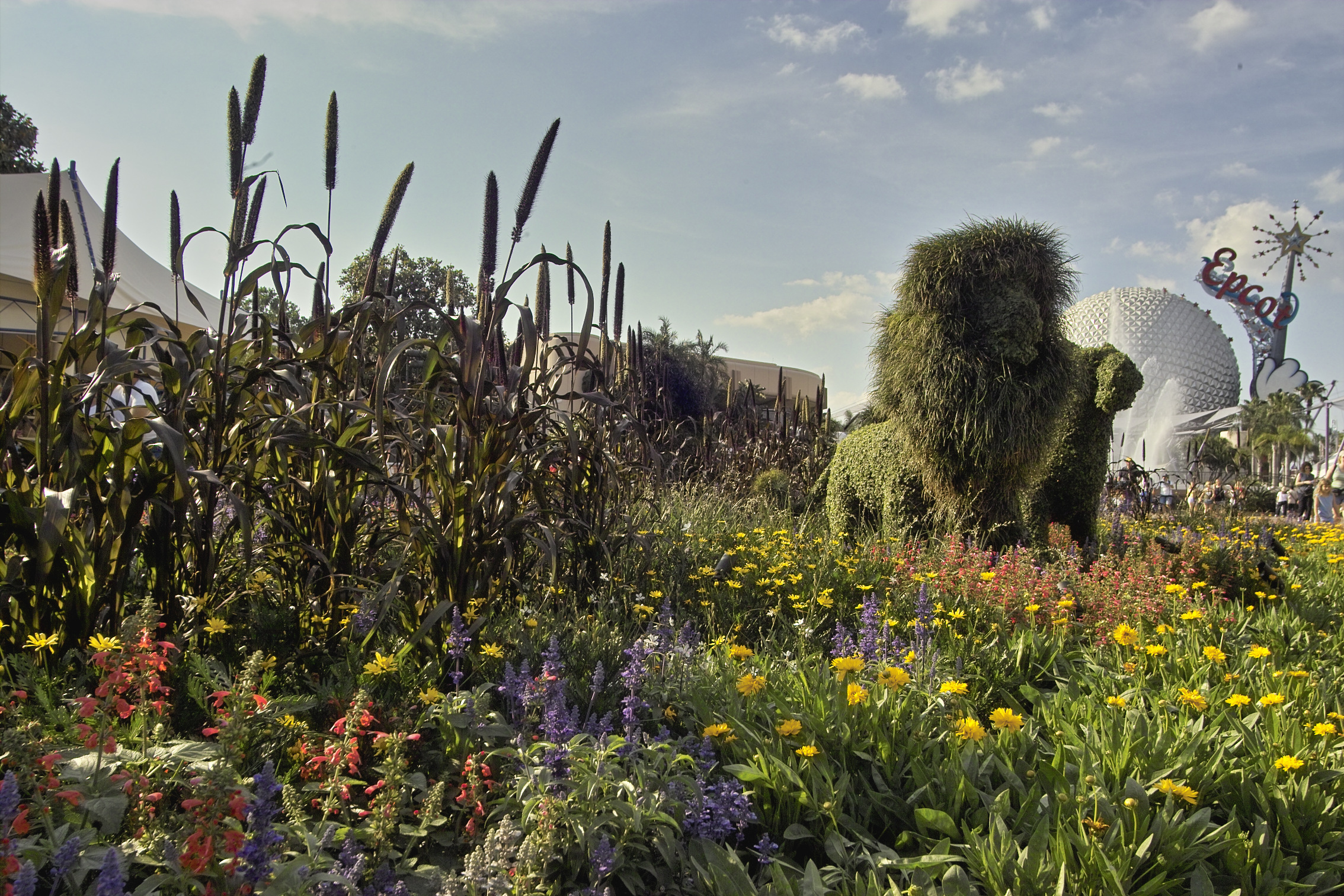 Lion King Topiary