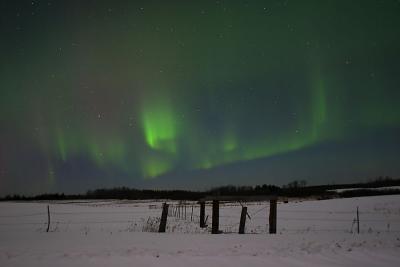 CRW_6600.jpg