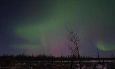 CRW_6596.jpg