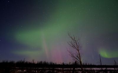 CRW_6596.jpg