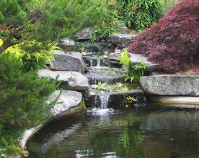 Creek  Pool 2.jpg