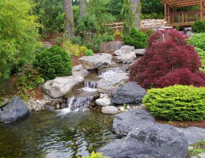 Creek  Pool.jpg
