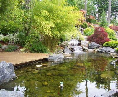 Clear Creek Nursery