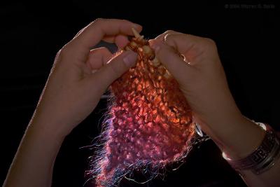 5th Place  Knitting by Warren Sarle