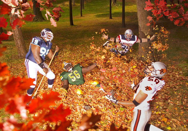 CFL leaves by Hiep Vu