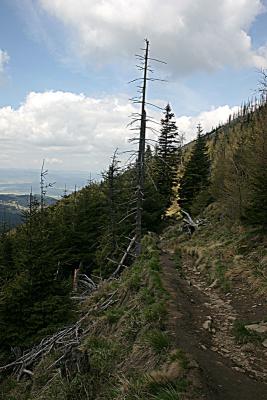 Snieznik Massif