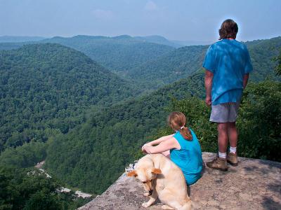 Enjoying the View