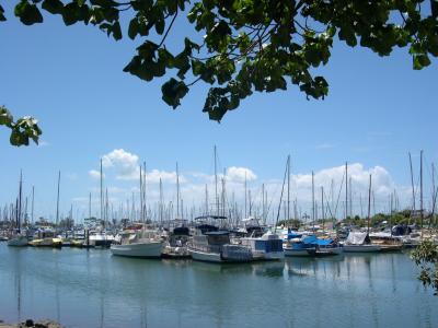 u46/laine82/medium/39970134.ManlyBoatHarbour2.jpg
