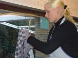 Window Cleaning