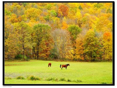 Bull's Bridge  Farm.jpg